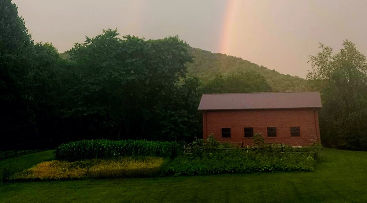 The Creative Homestead