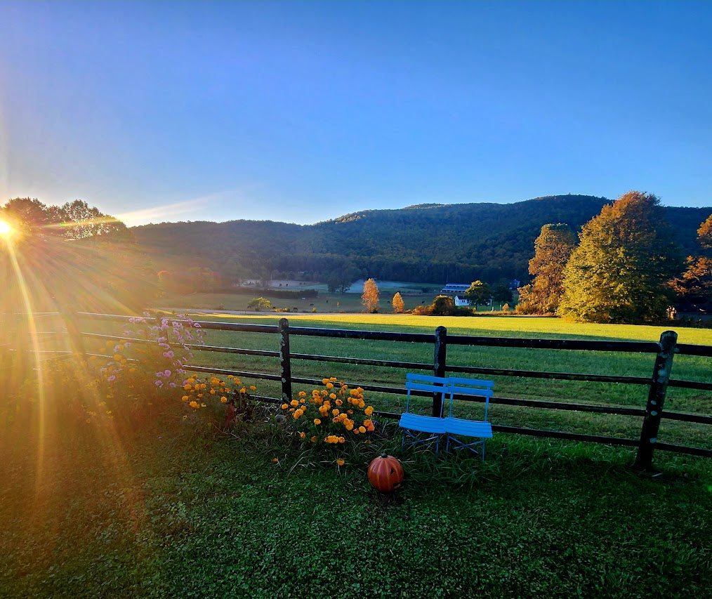 Classes and Events at the Studio Above the Clouds